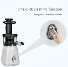 Cold Press Slow Juicer