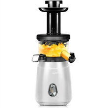 Cold Press Slow Juicer