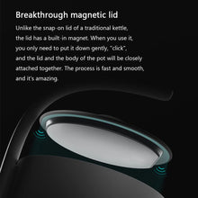 850ml Electric Tea Kettle