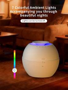 2-in-1 Smart Humidifier & Dehumidifier