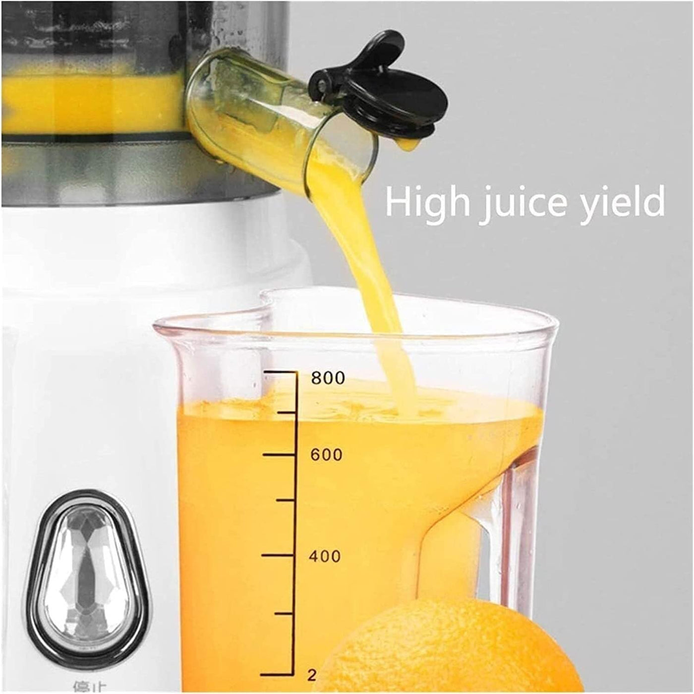 Cold Press Slow Juicer