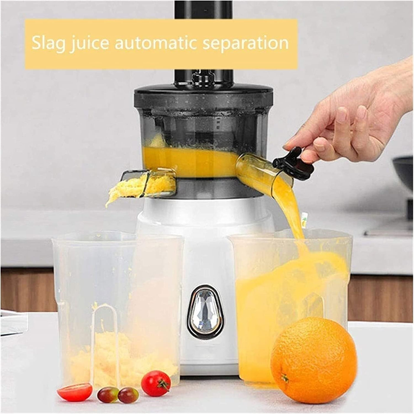 Cold Press Slow Juicer