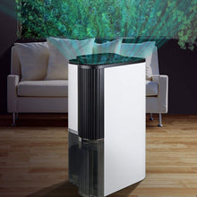 22L Household Dehumidifier