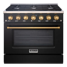 36" Professional Gas Range