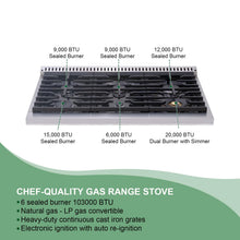 36" Professional Gas Range