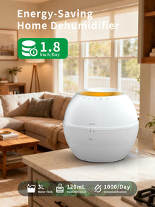 2-in-1 Smart Humidifier & Dehumidifier
