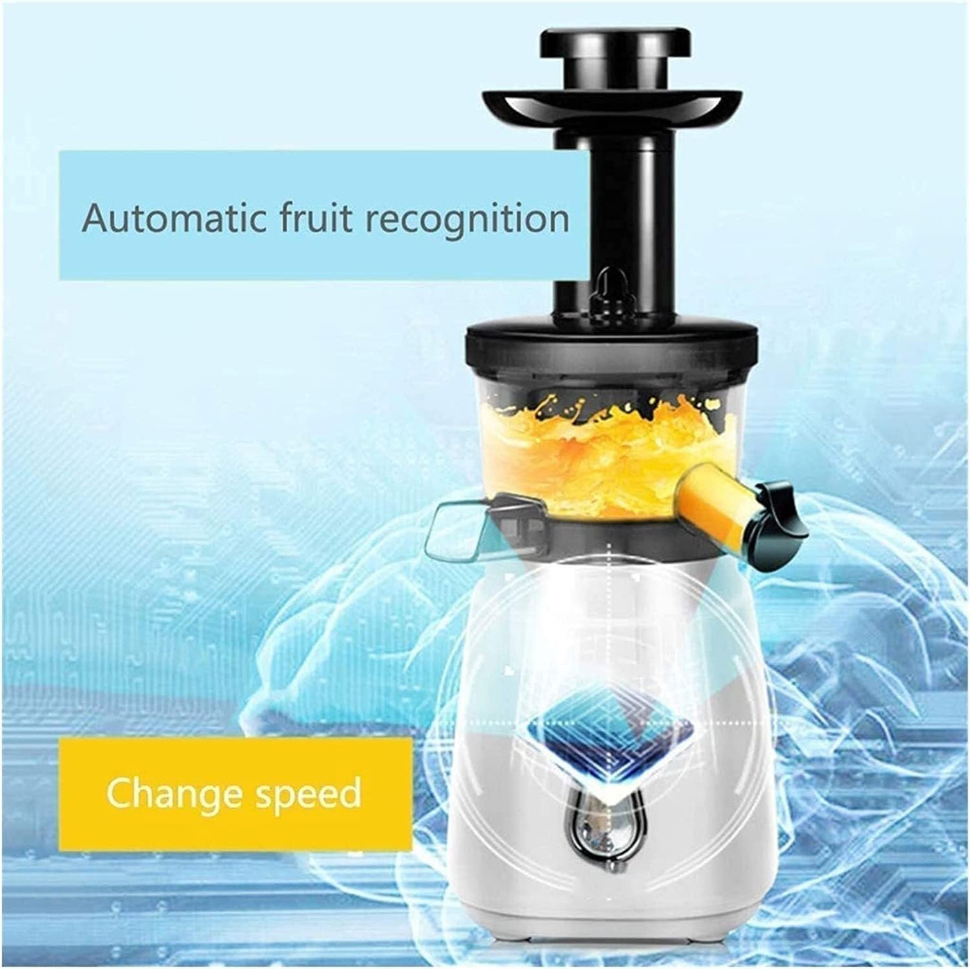 Cold Press Slow Juicer