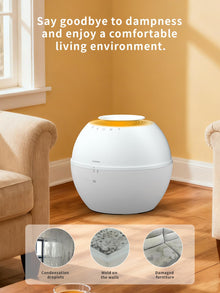 2-in-1 Smart Humidifier & Dehumidifier