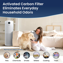 H13 HEPA Air Purifier